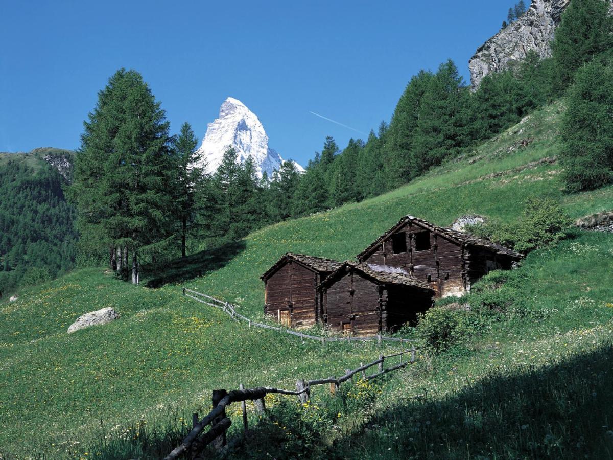 Apartment Bellevue-6 By Interhome Zermatt Eksteriør bilde